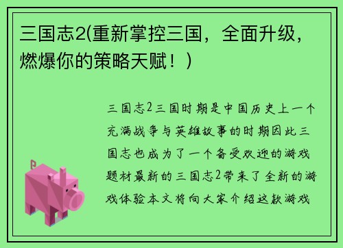 三国志2(重新掌控三国，全面升级，燃爆你的策略天赋！)